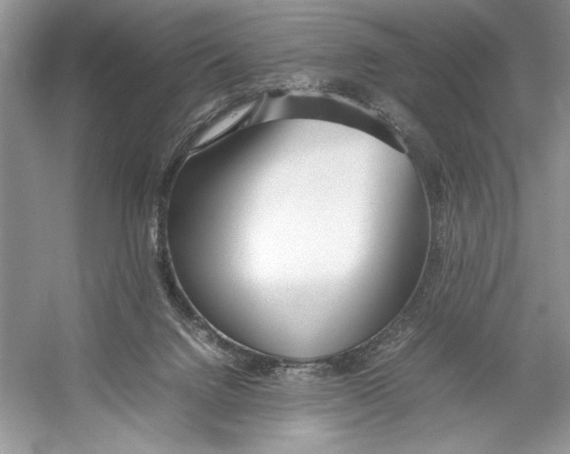 X0000052950072200508050933