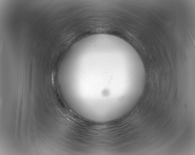 X0000052950075200508050933