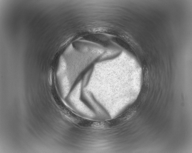 X0000052950076200508050933