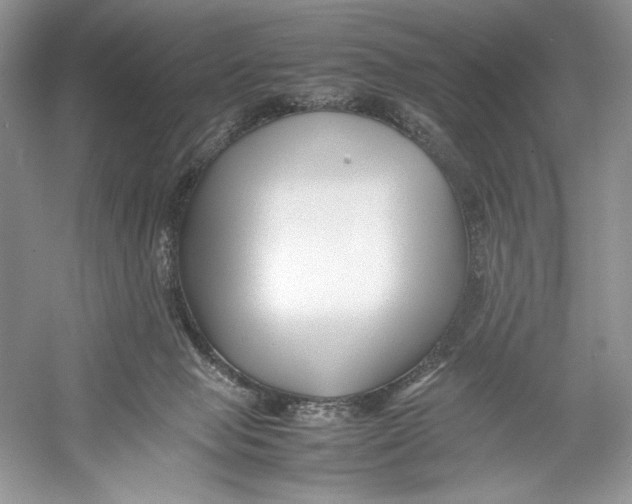 X0000052950077200508050933