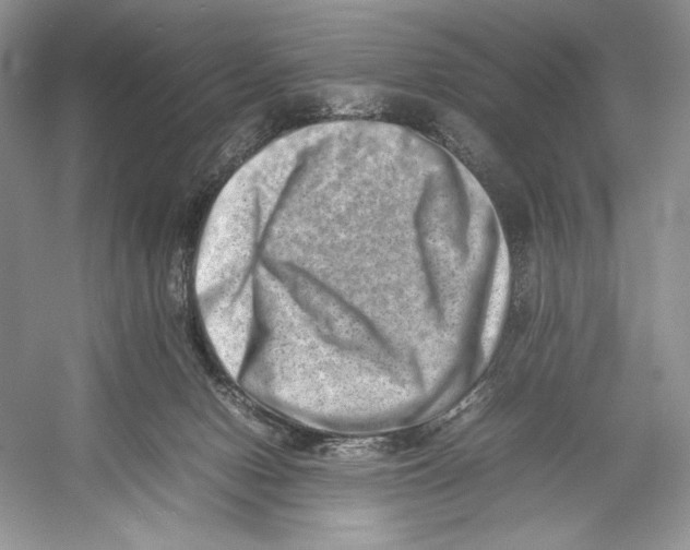 X0000052950078200508050933