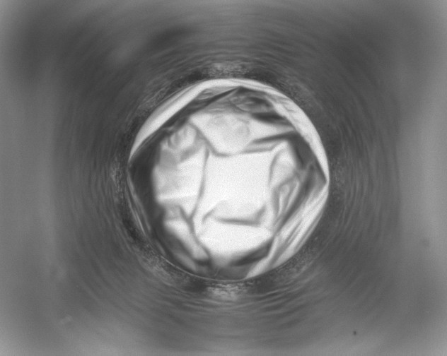 X0000052950079200508050933