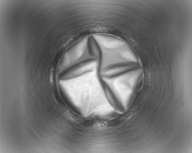 X0000052950080200508050933