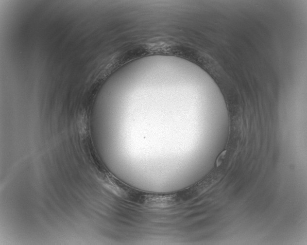 X0000052950081200508050933