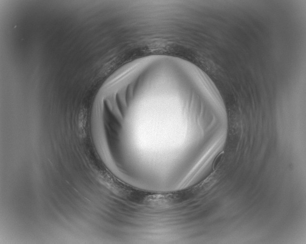 X0000052950082200508050933