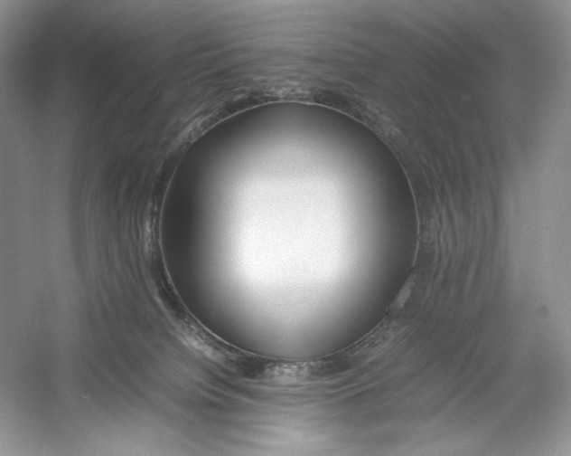 X0000052950084200508050933