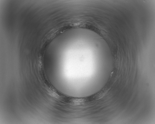 X0000052950085200508050933