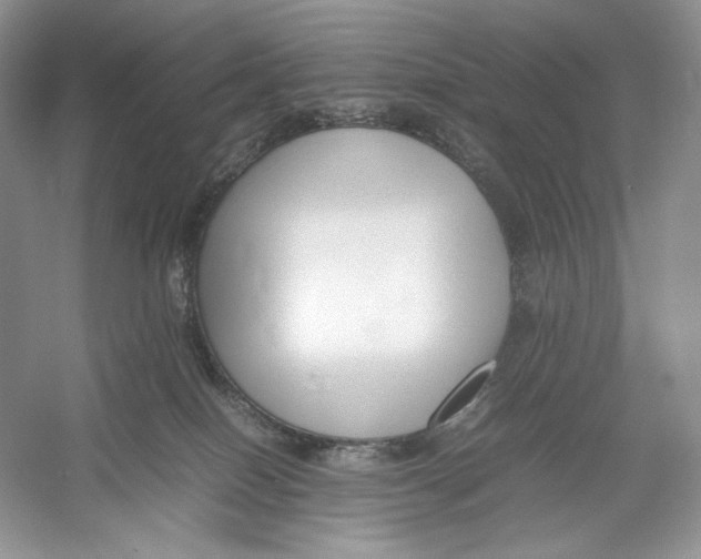 X0000052950086200508050933