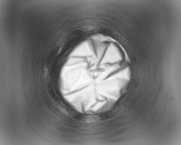 X0000052950087200508050933