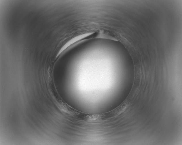 X0000052950088200508050933