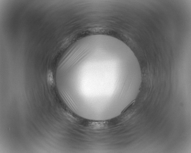 X0000052950089200508050933