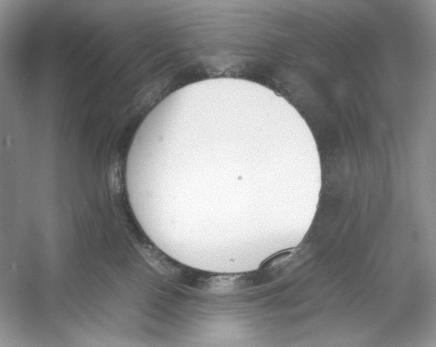 X0000052950090200508050933