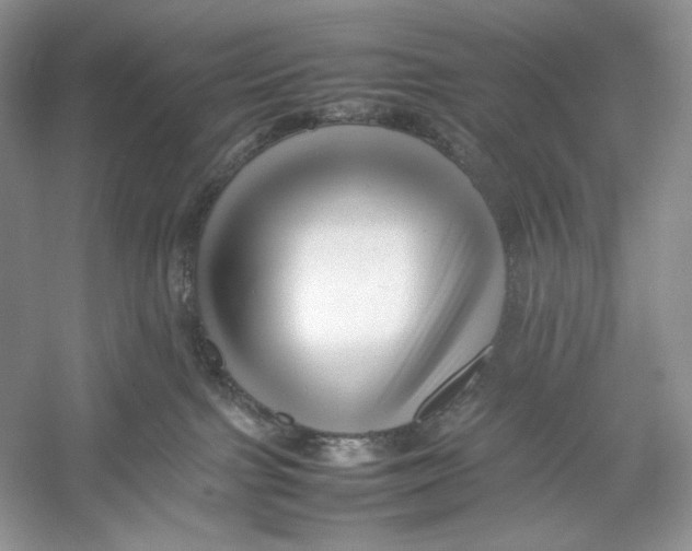 X0000052950091200508050933