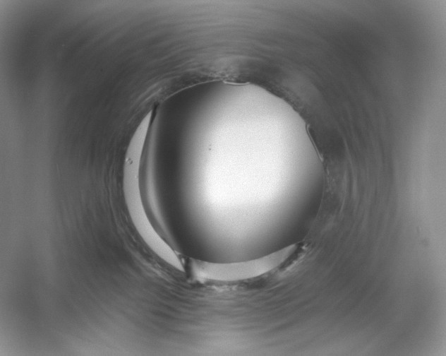 X0000052950092200508050933