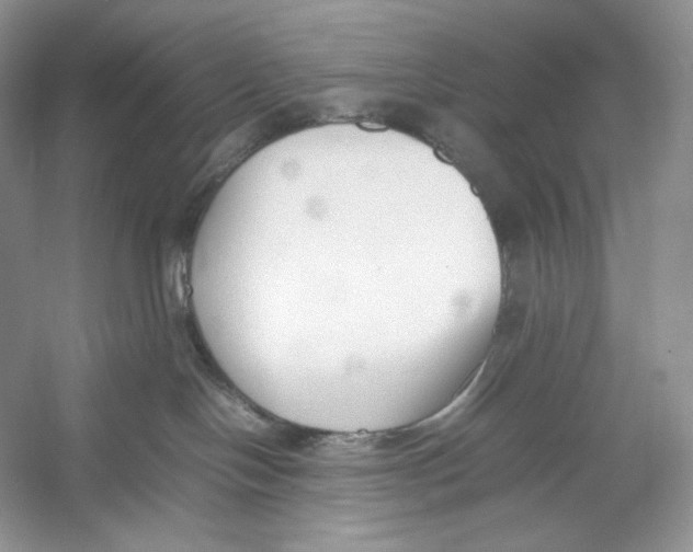 X0000052950094200508050933