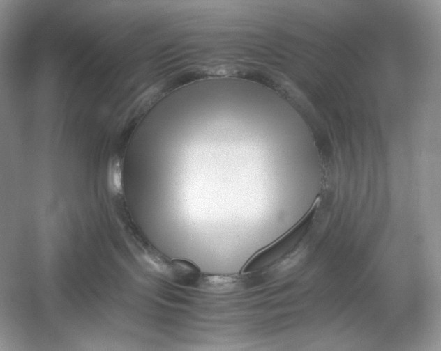 X0000052950095200508050933