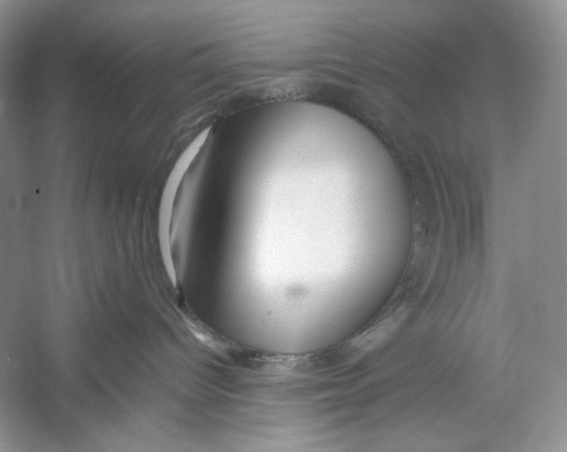 X0000052950096200508050933