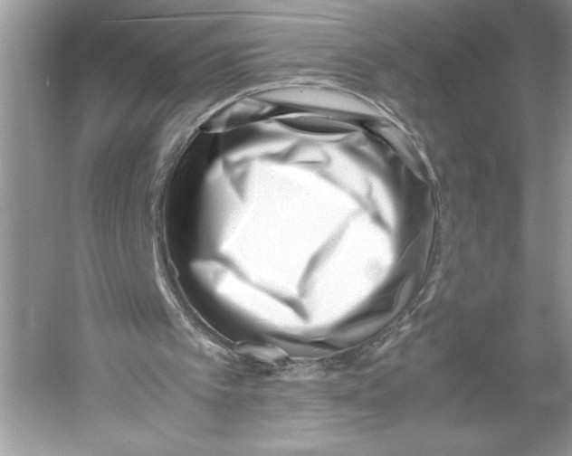 X0000052950097200508050933