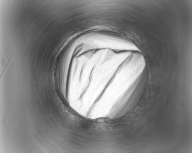 X0000052950098200508050933