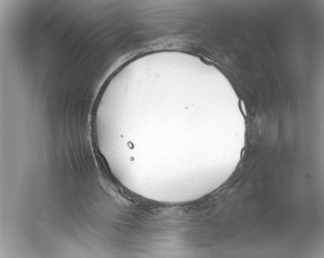 X0000052950100200508050932