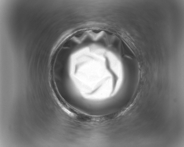 X0000052950101200508050932