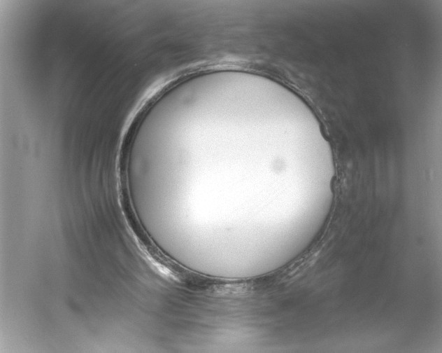 X0000052950102200508050932