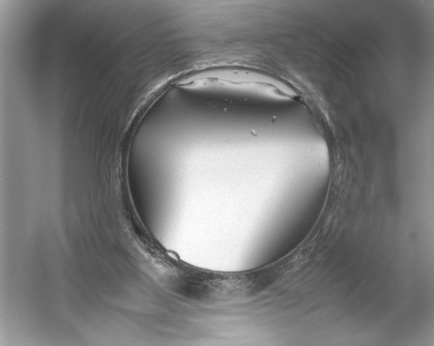 X0000052950107200508050932