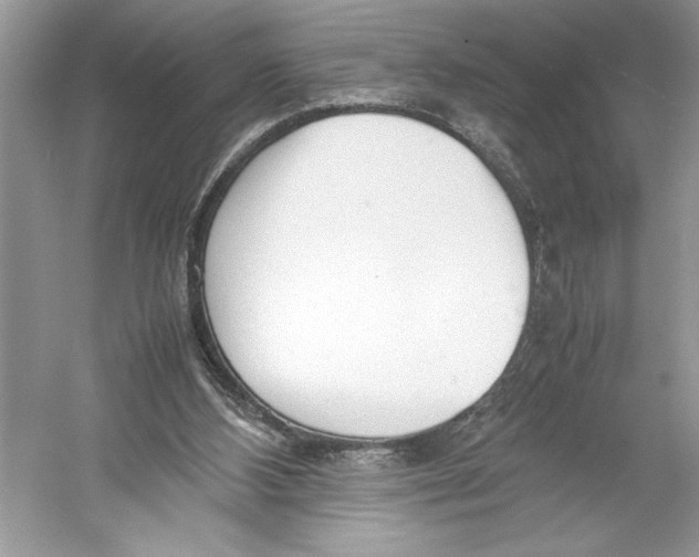 X0000052950108200508050932