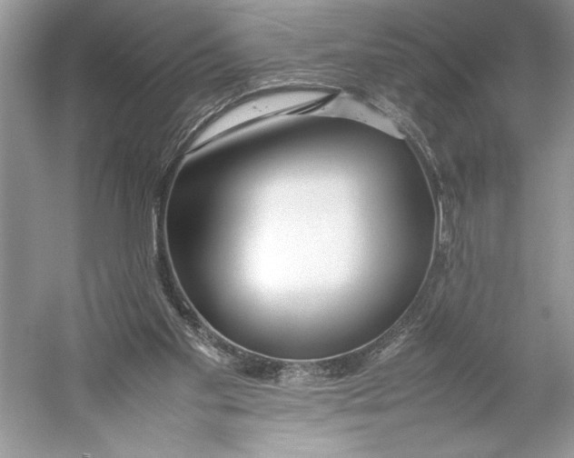 X0000052950109200508050932