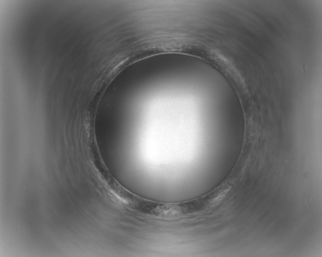 X0000052950113200508050932