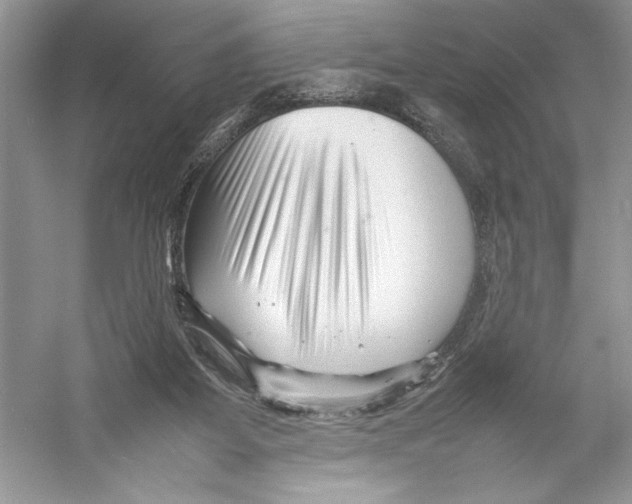 X0000052950115200508050932