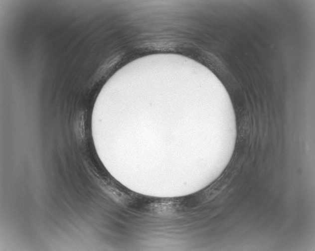 X0000052950120200508050932