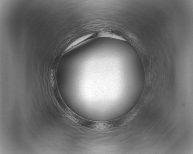 X0000052950121200508050932