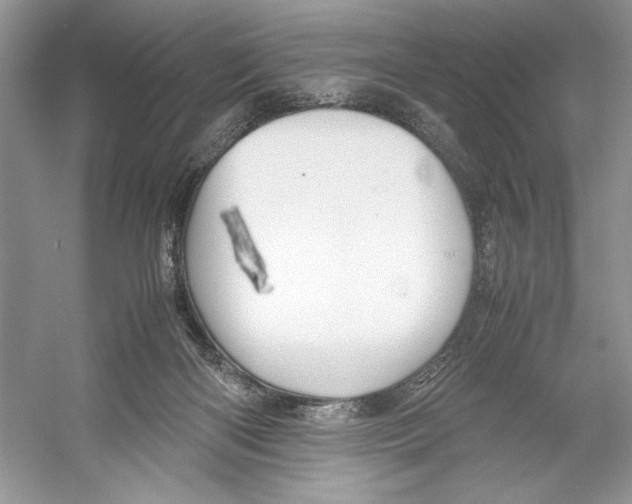 X0000052950122200508050932