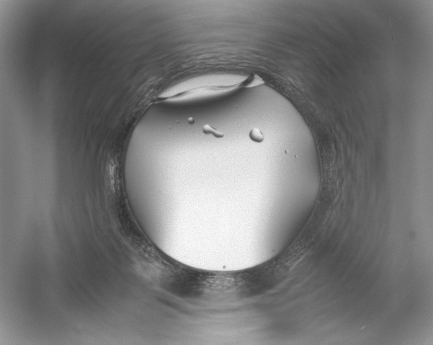 X0000052950123200508050932