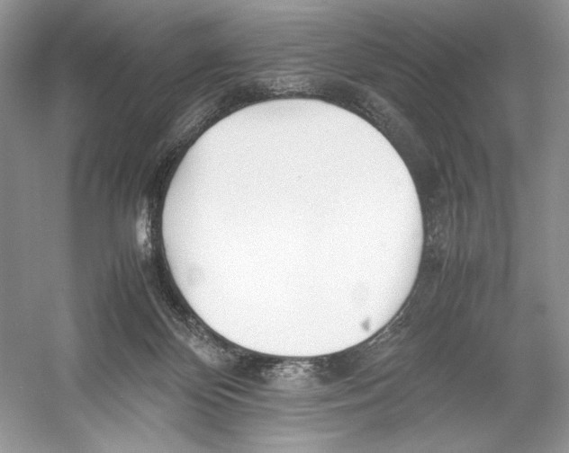 X0000052950124200508050932