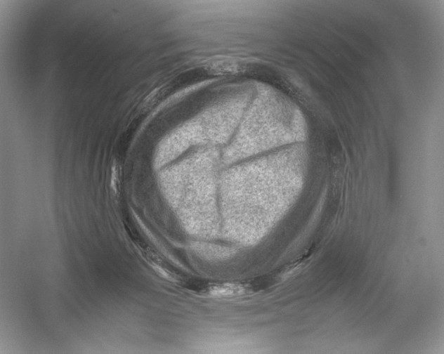 X0000052950125200508050932