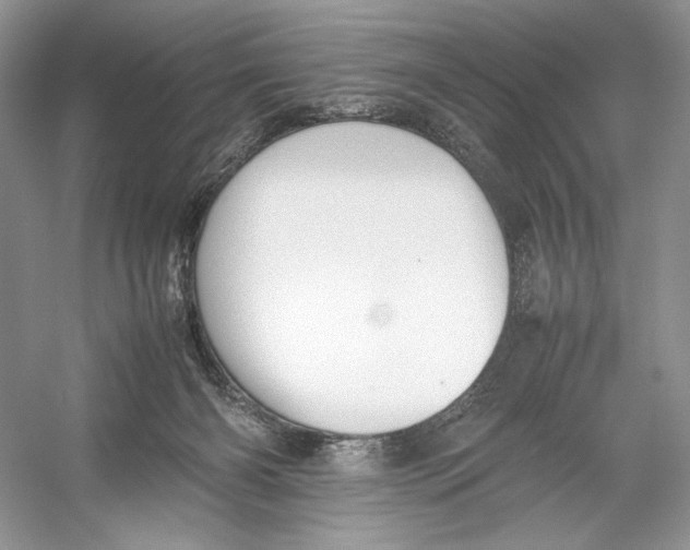 X0000052950126200508050932