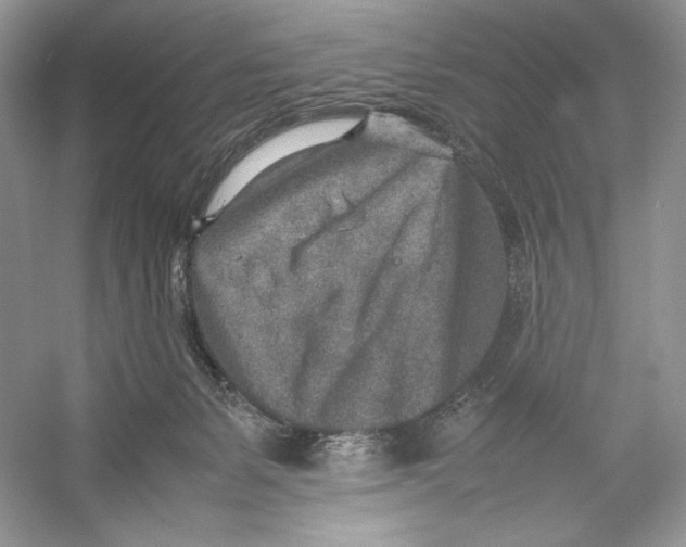 X0000052950127200508050932