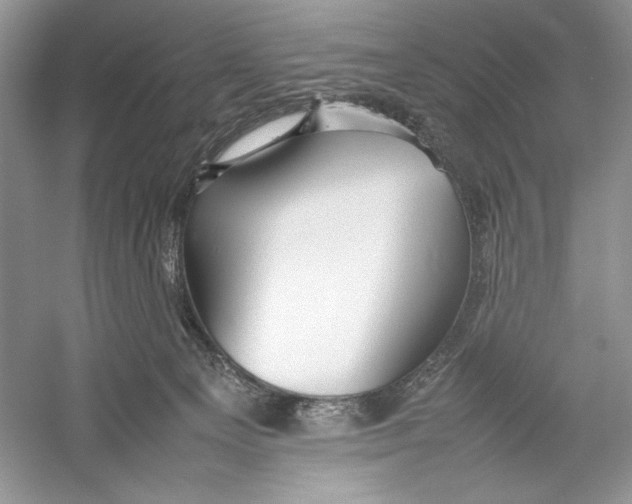 X0000052950129200508050932