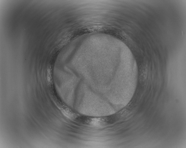 X0000052950130200508050932