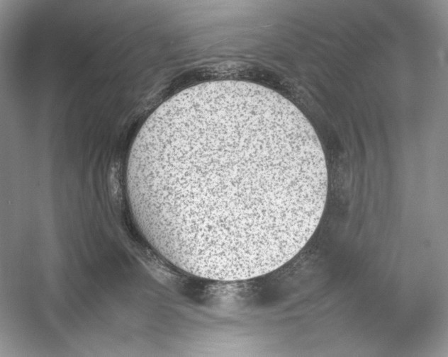 X0000052950131200508050932