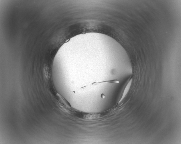 X0000052950135200508050932