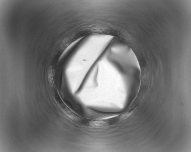 X0000052950137200508050932