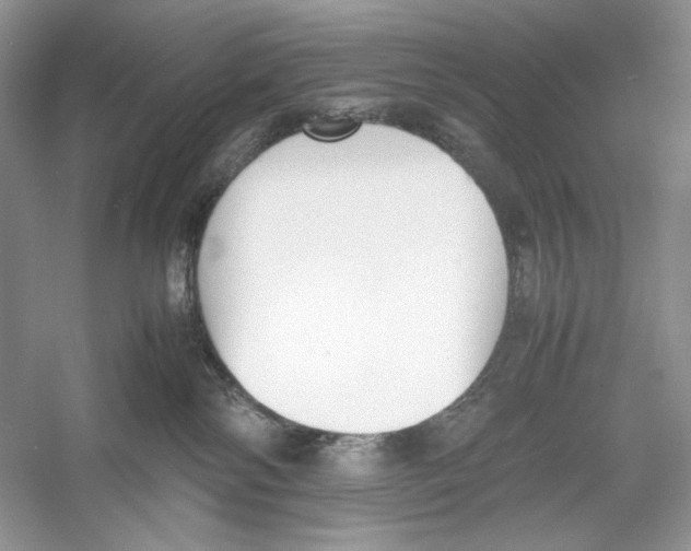 X0000052950138200508050932