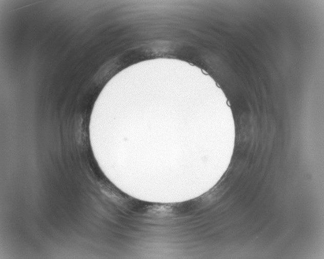 X0000052950140200508050932