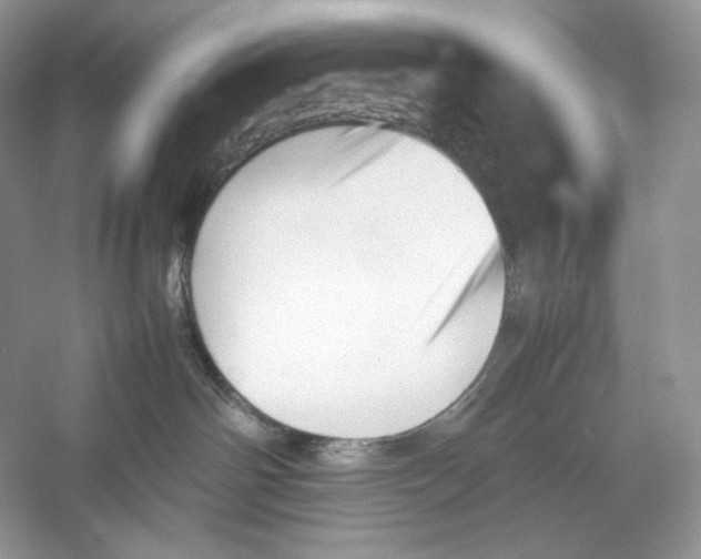 X0000052950142200508050932