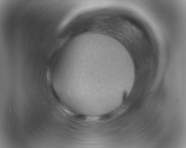 X0000052950143200508050932