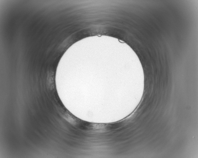 X0000052950144200508050932