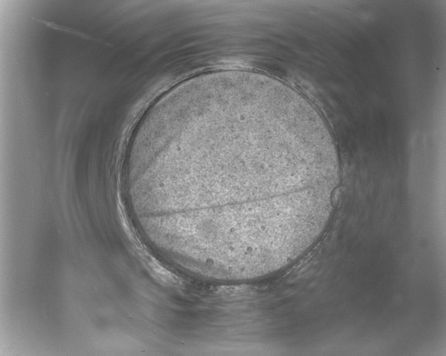 X0000052950145200508050931